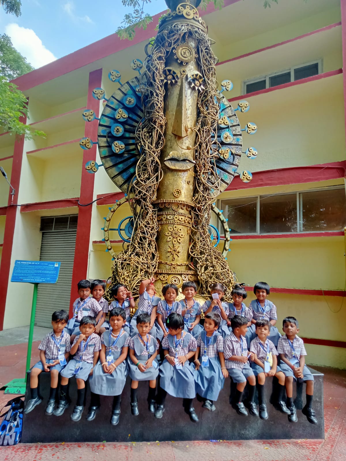 PMRMHSS_1